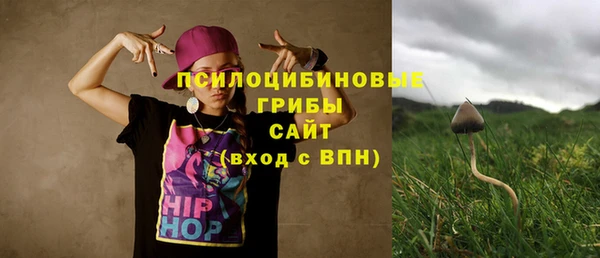 хмурый Липки