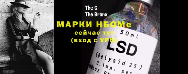 хмурый Липки