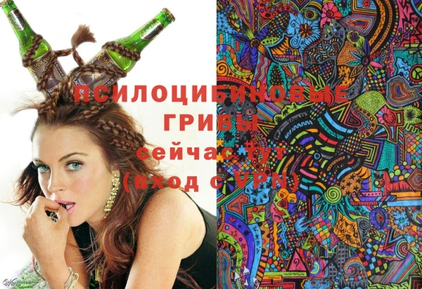 spice Лихославль