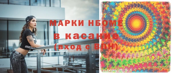 хмурый Липки