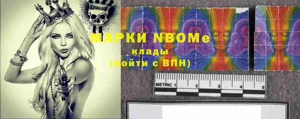 хмурый Липки