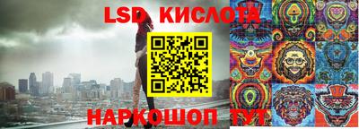 ПСИЛОЦИБИНОВЫЕ ГРИБЫ Дубна