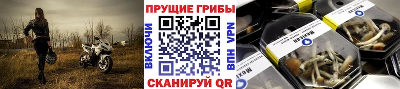это официальный сайт  Топки  Псилоцибиновые грибы мицелий  где найти наркотики 