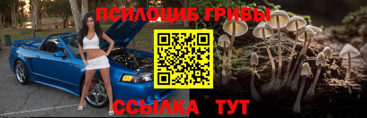 Галлюциногенные грибы мухоморы Топки